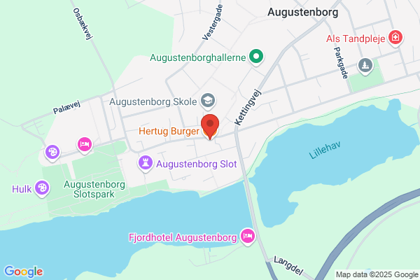 Hertug Hans