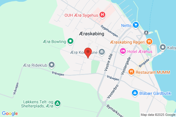 Friderichsen, Nicolaj