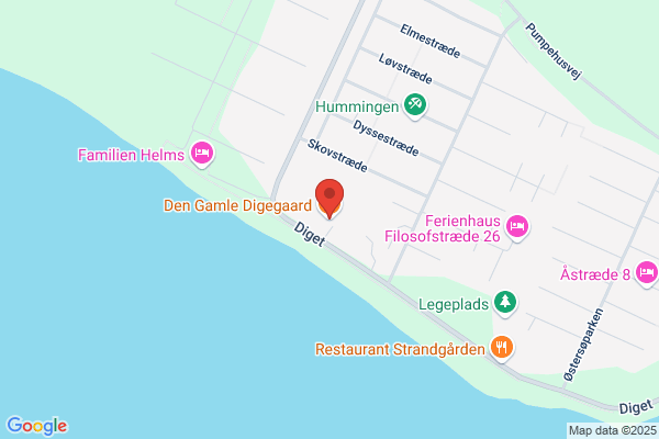 Gamle Købmandsgaard, Den