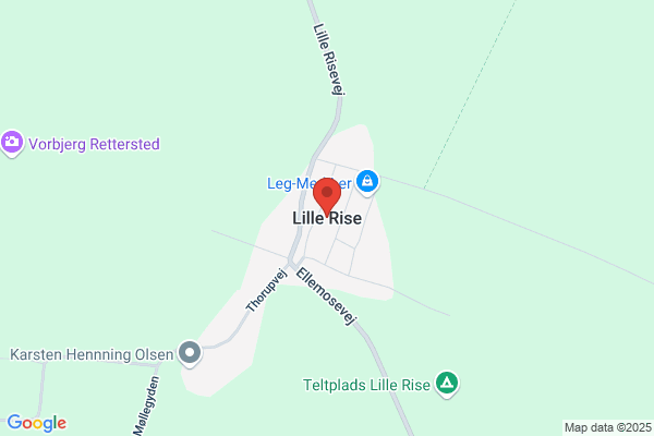 Lille Rise Installationsforretning