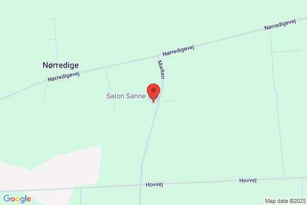 Sanne, Salon
