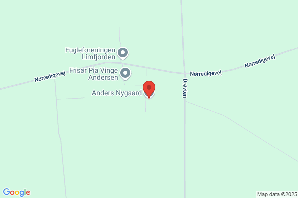 Nygaard, Anders