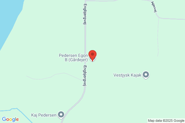 Pedersen, G. N.