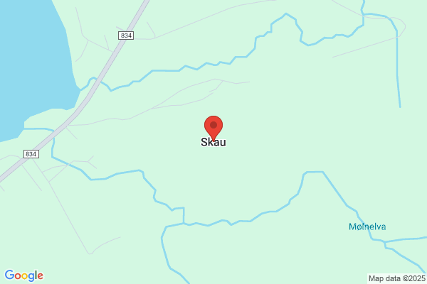 Skau, Karin