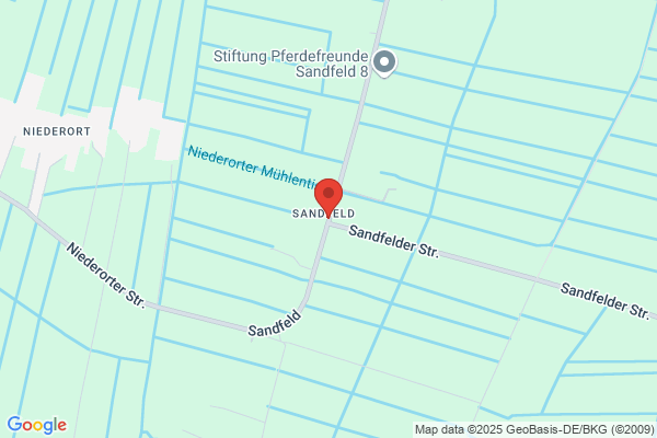 Sandfeldt, Holger