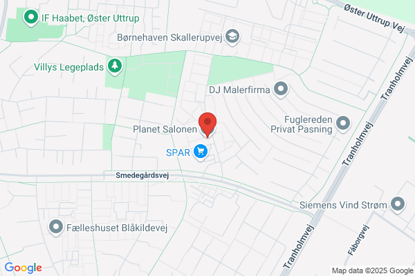 Planet Salonen