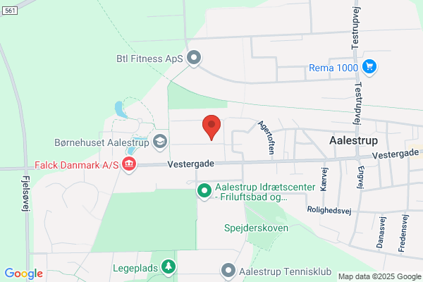 Aalestrup Seniorer
