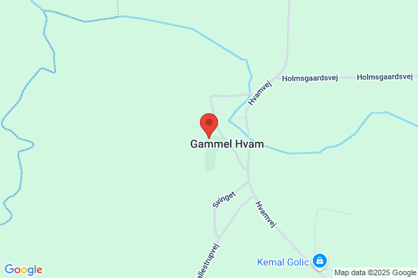Hvam Sogns Menighedsråd