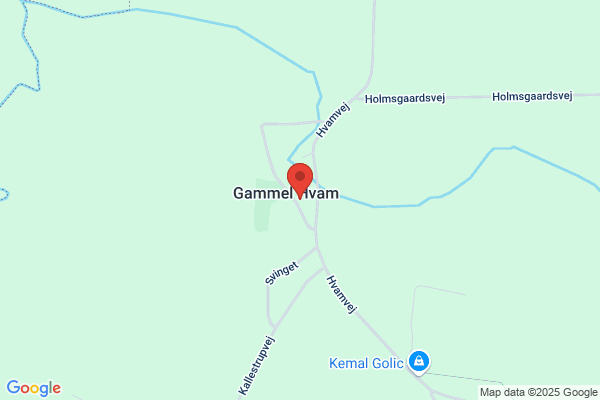 KFUM-spejderne i Hvam