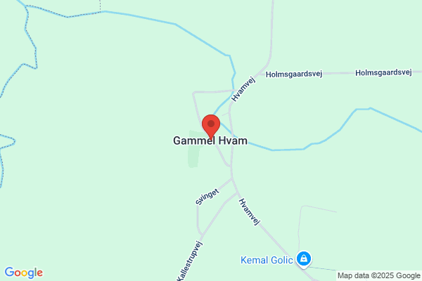 Gammelby's Busser
