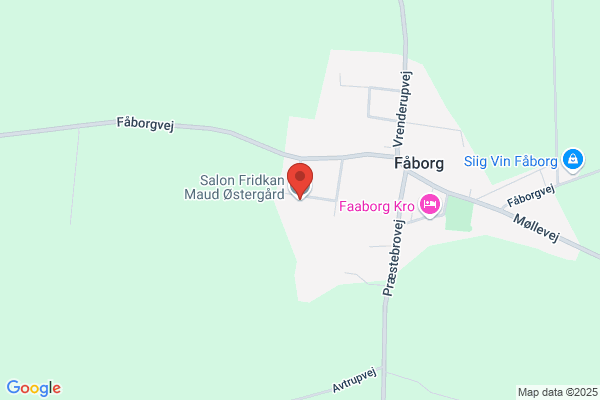 Fridkan, Salon