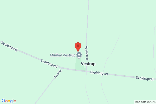 Vestrup Bibliotek, Vestrup Skole