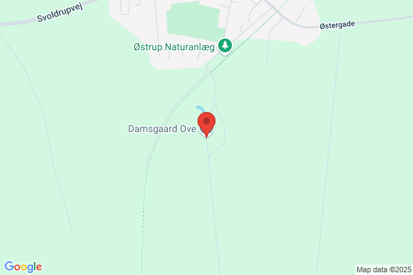 Bach og Damgaard