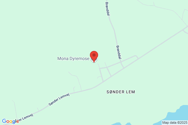 Borum Mona