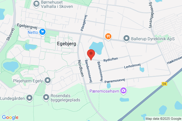 Es Gi Consult ApS