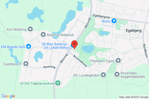 Avis Biludlejning