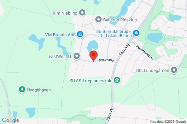 F I Consulting (Steen Finne-Ipsen)