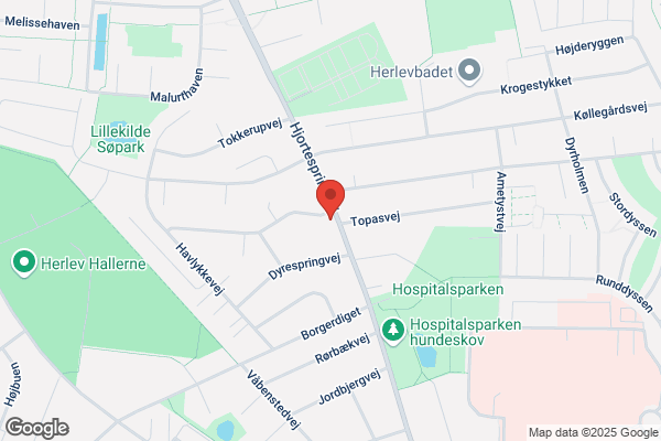 Hyldeblomsten Børneinstitution