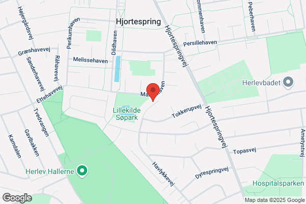 Densted's Fodklinik