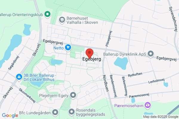 3.Øje, Det