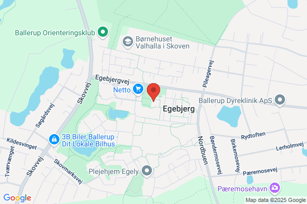 Www.Dzeni.Dk