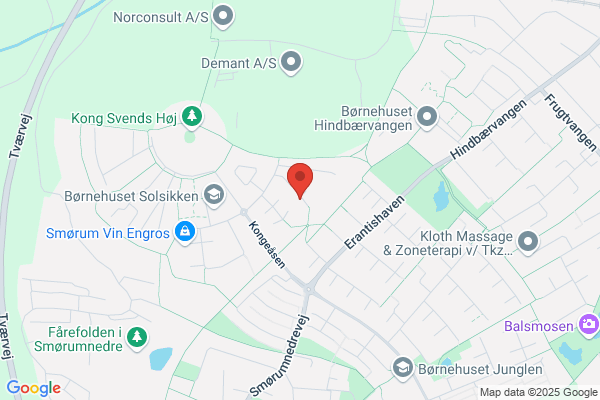Hedensted VVS