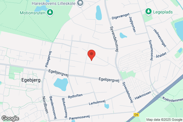FDZ Zoneterapeut/Akupunktør