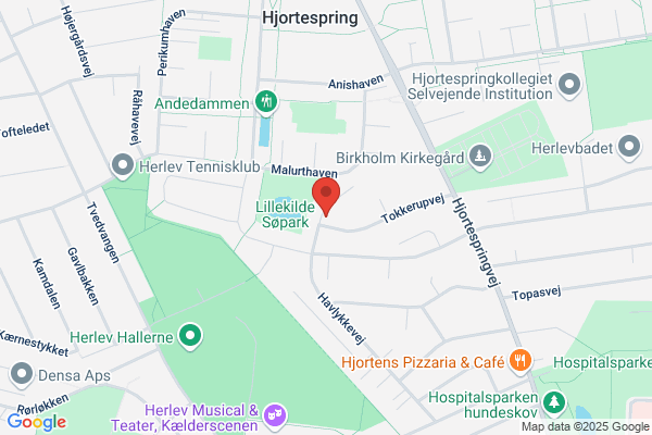 Holistisk Smerteklinik