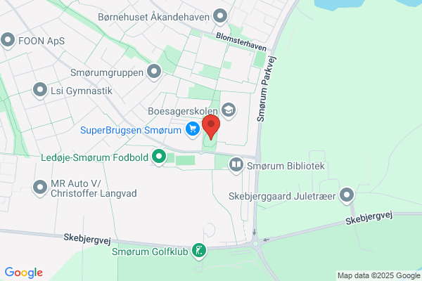 LSI Svømmeafdeling