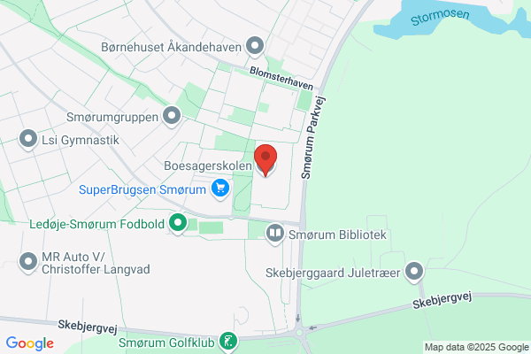 Boesagerskolen