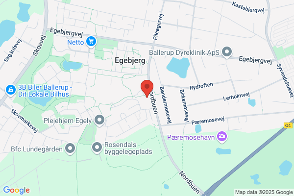 Viking Erhvervservice