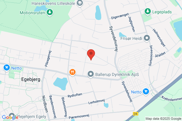 Ballerup Zoneterapi & Yoga