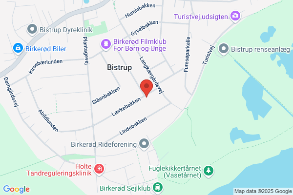 Strenov, Hanne