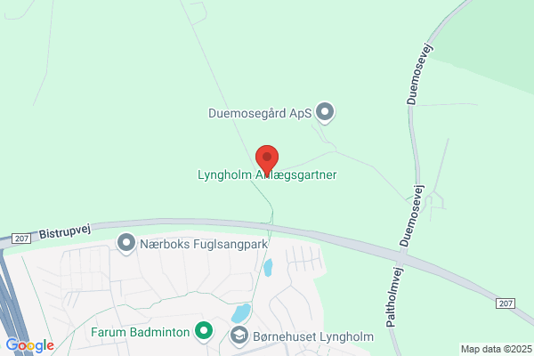 Lyng, Kirsten