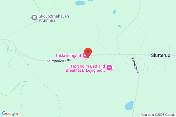 Lassen Erik