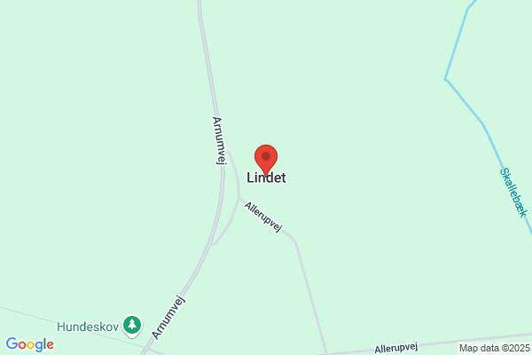 Linde Brdr.