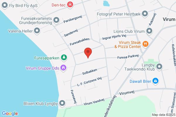 Paludan Lis Designervirksomhed