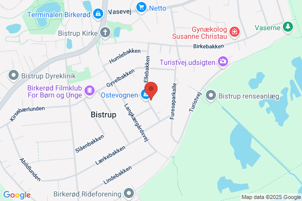 Den grønne elektriker