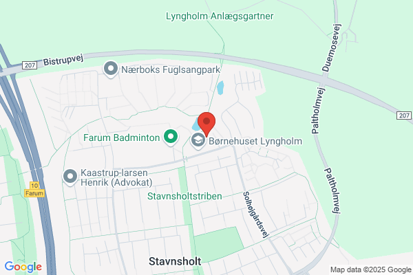 Skarven Tivolihuset Fritidshjemmet