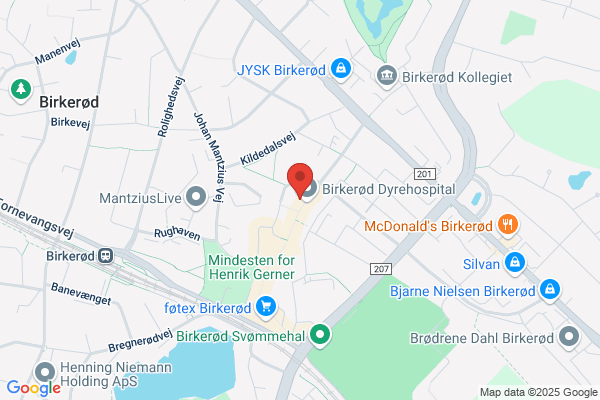 Din Massør