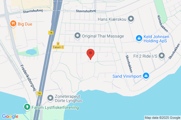 Dansk Folkeparti