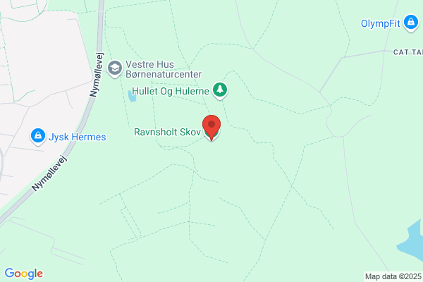 DDS Ravnsholt Division (Niels Holm)