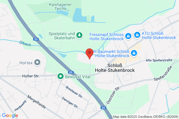 DSS 1. Holte Gruppe