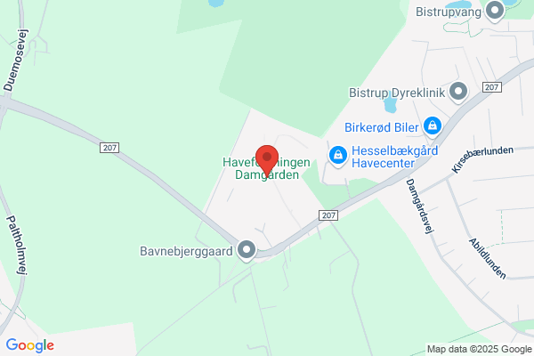 Dydensborg H F