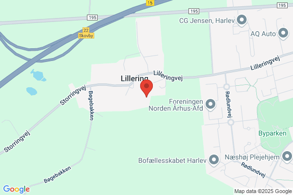 Kringelbach, Birgit