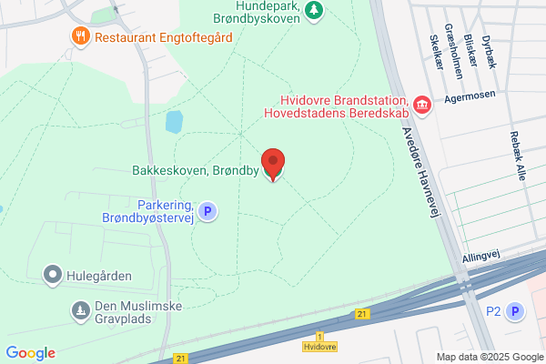 Skovsatelitten