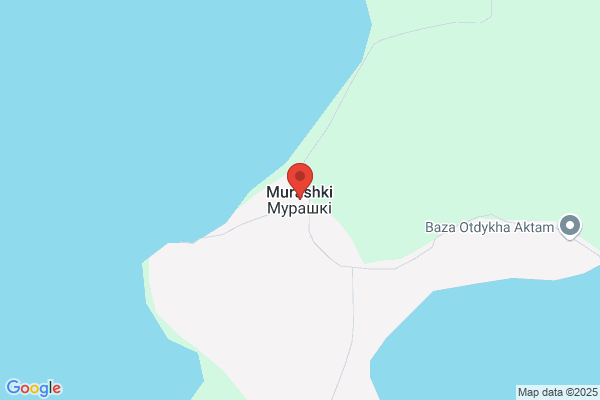 Murashkin, Jaron de