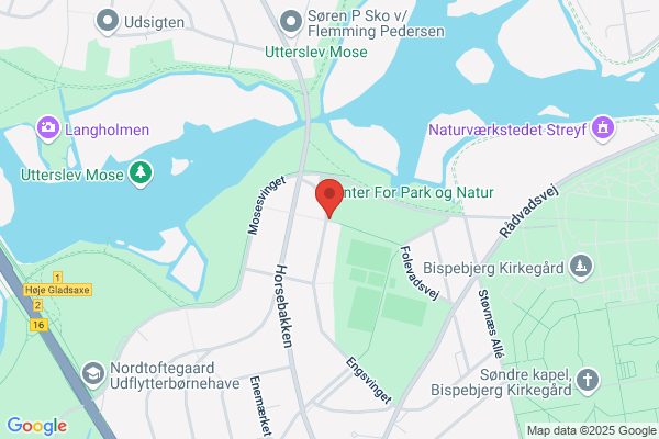 Ditlefsen Frode