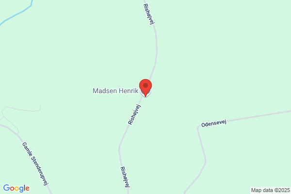 Madsen Henrik