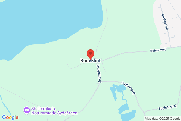 Roneklint